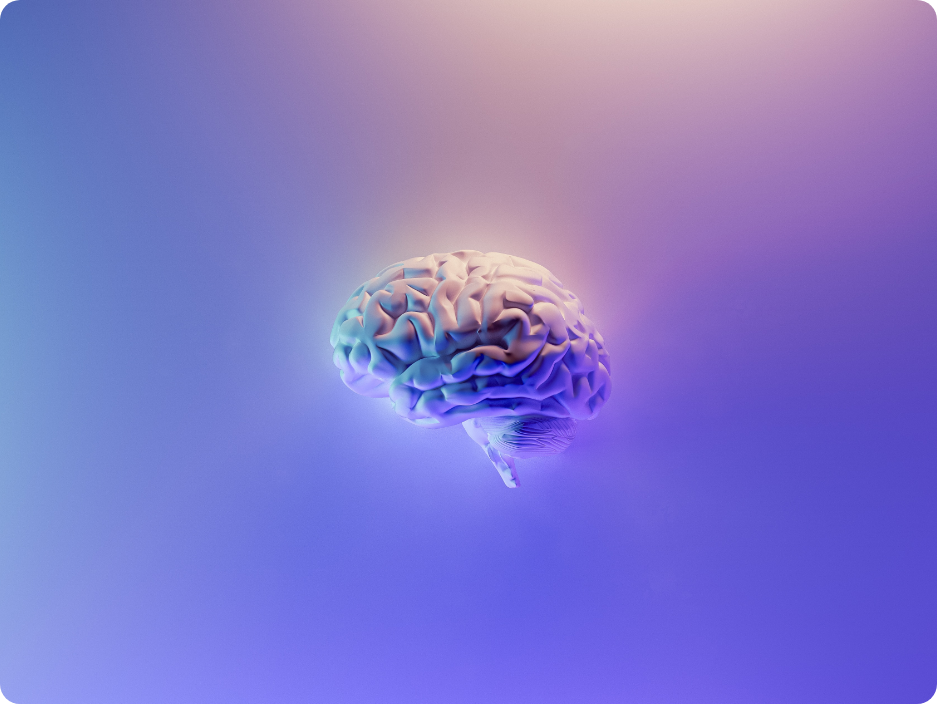 cerveau