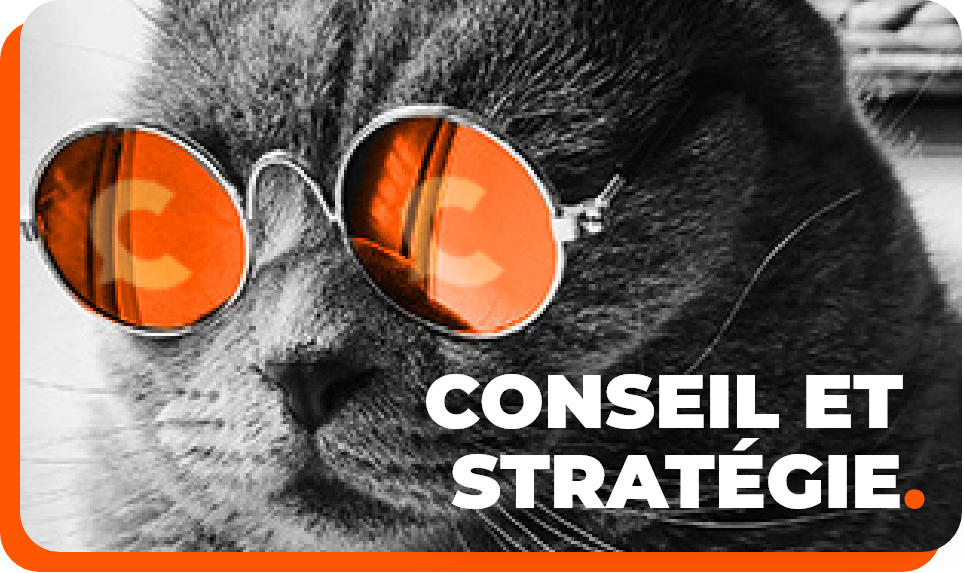 Conseil et stratégie.